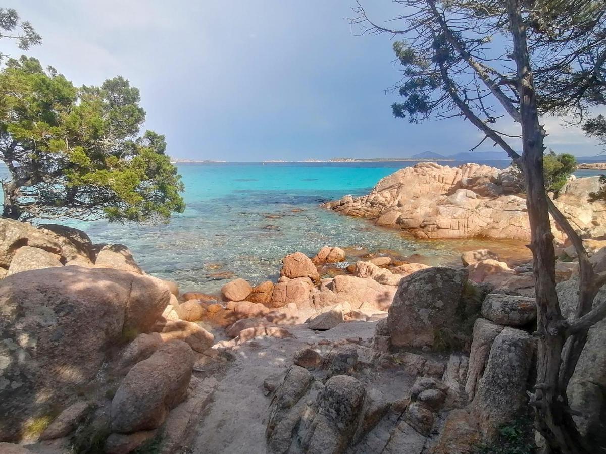 Domus Smeralda Porto Cervo Bagian luar foto